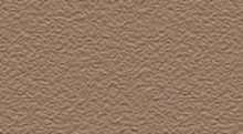 Buckskin