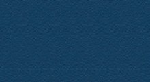 Gallery Blue